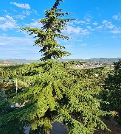 Apartment Sunny View